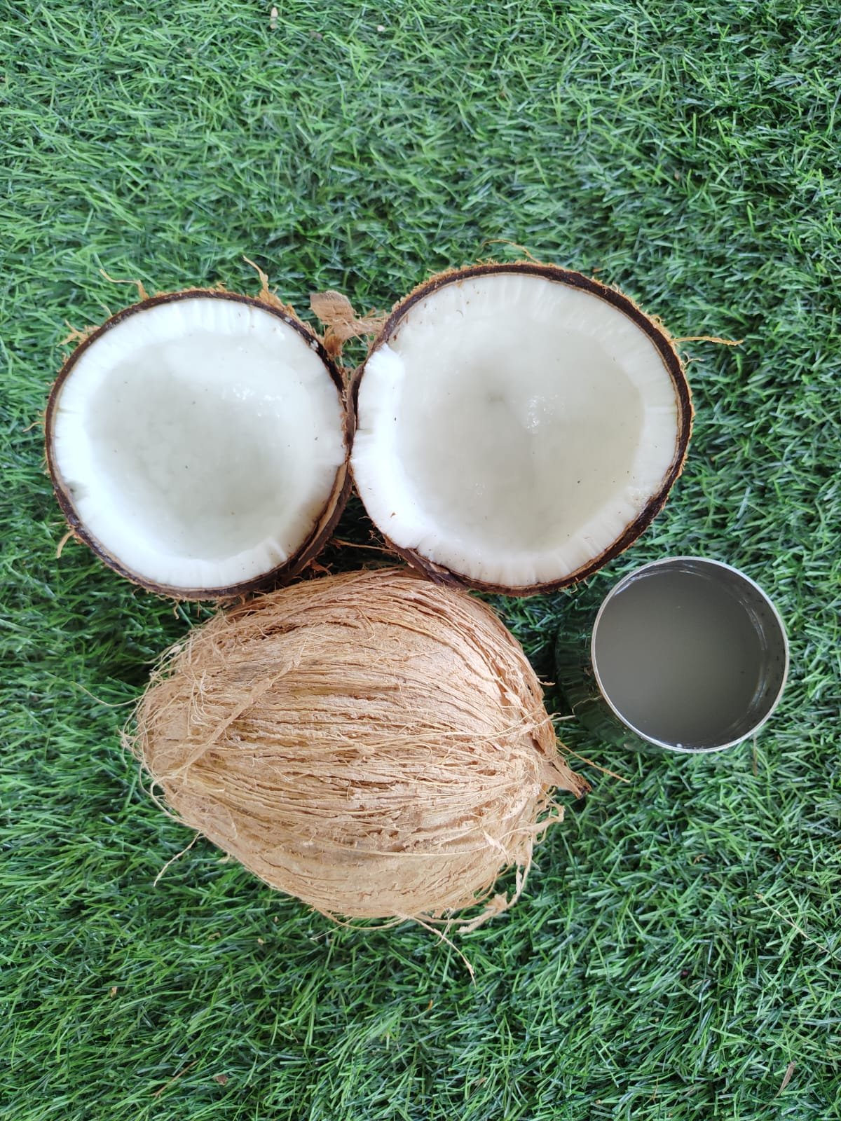 coconut 01