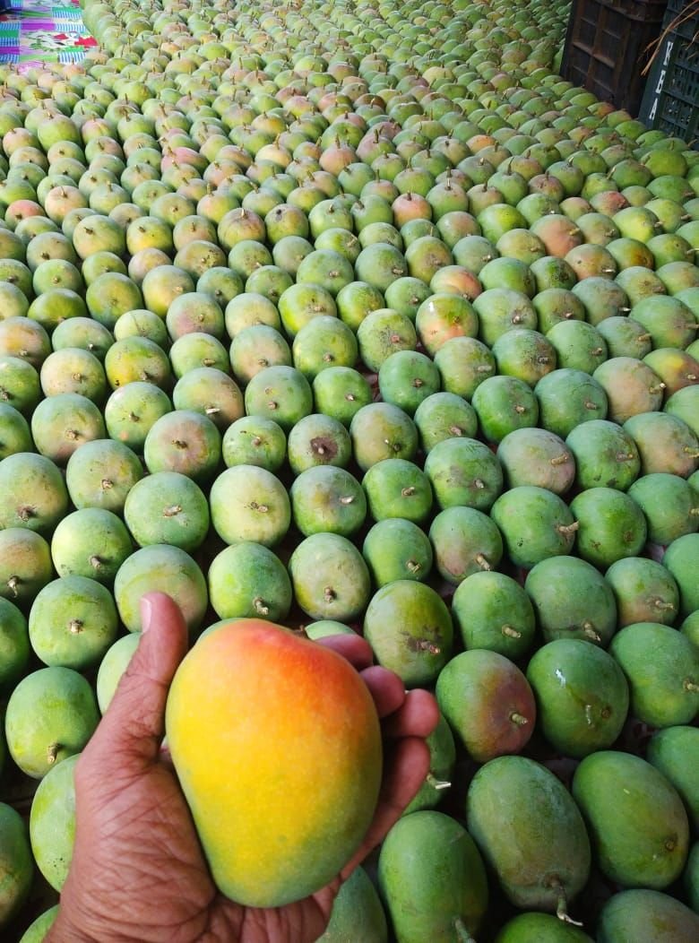 Mangos
